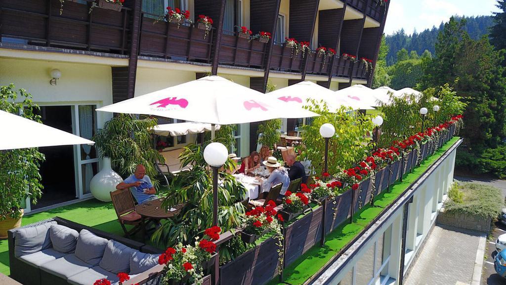 Wellness Hotel Green Paradise Pirkenhammer Zewnętrze zdjęcie